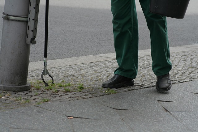 raccolta-rifiuti-verde-pulito-pixabay