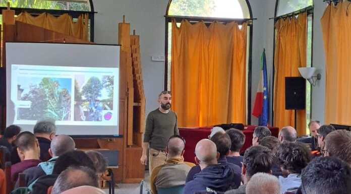 ‘Strategie conservative per la tutela degli alberi in città’, partecipato il seminario a Villa Gomes