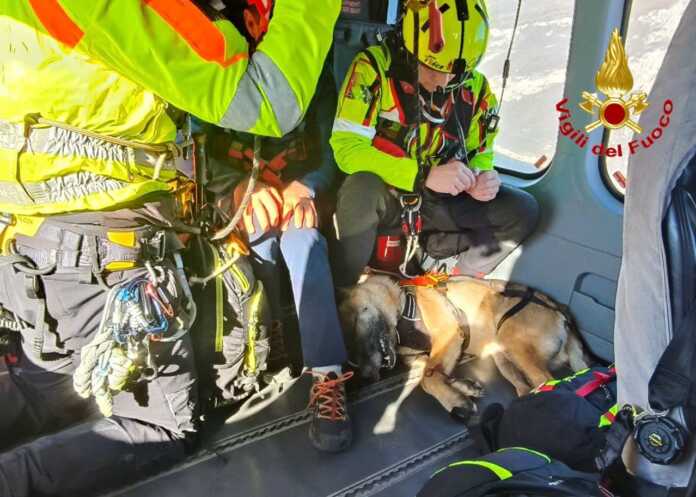 soccorso cane_vigili del fuoco (5)