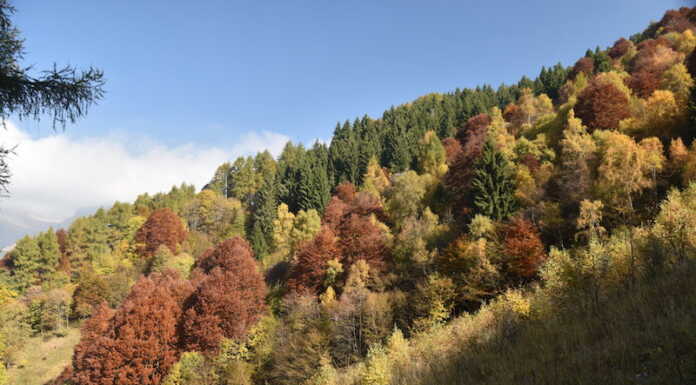 Il fascino del foliage in Valsassina