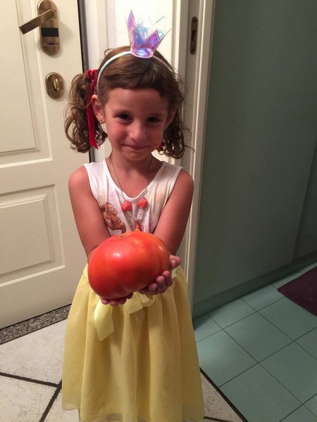 Angelo Vitali verdure giganti Bellano