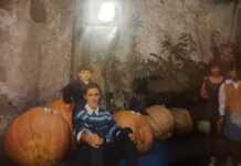 Bellano. Angelo Vitali e il suo (gigante) amore per l’orto Angelo Vitali verdure giganti Bellano