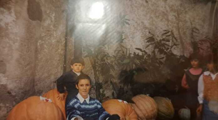 Bellano. Angelo Vitali e il suo (gigante) amore per l’orto Angelo Vitali verdure giganti Bellano