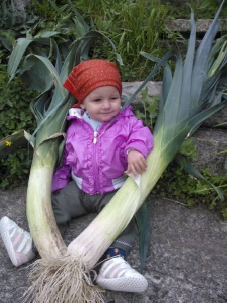 Angelo Vitali verdure giganti Bellano