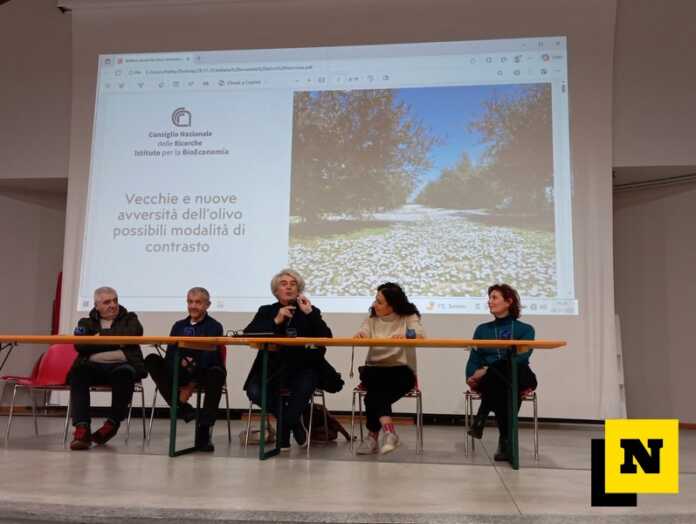 4festa-molitura-palasole-bellano-olivicoltura-lariana-20251128 Festa Molitura Bellano