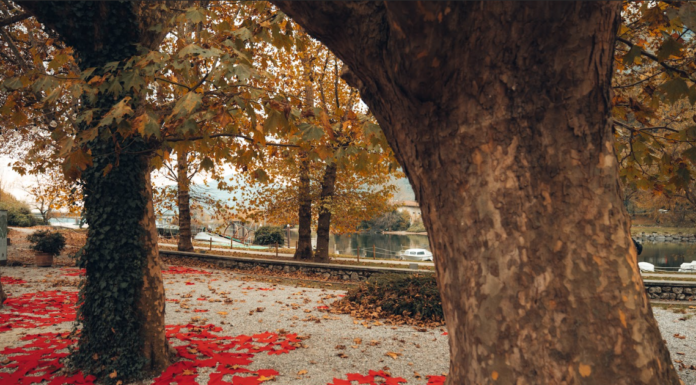 Lecco si tinge di rosso: le installazioni di Bernava verso la riapertura del Teatro Lecco si veste di rosso