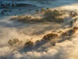 Nebbie sull’Adda: i colori del foliage si rincorrono tra luci e ombre