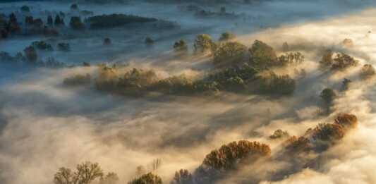 Nebbie sull’Adda: i colori del foliage si rincorrono tra luci e ombre