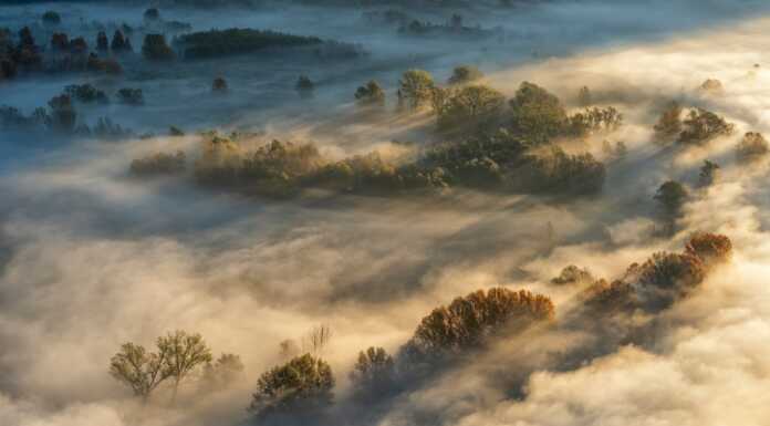 Nebbie sull’Adda: i colori del foliage si rincorrono tra luci e ombre