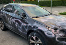 Merate, imbrattata di rosa l’auto dell’assessora Patrizia Riva