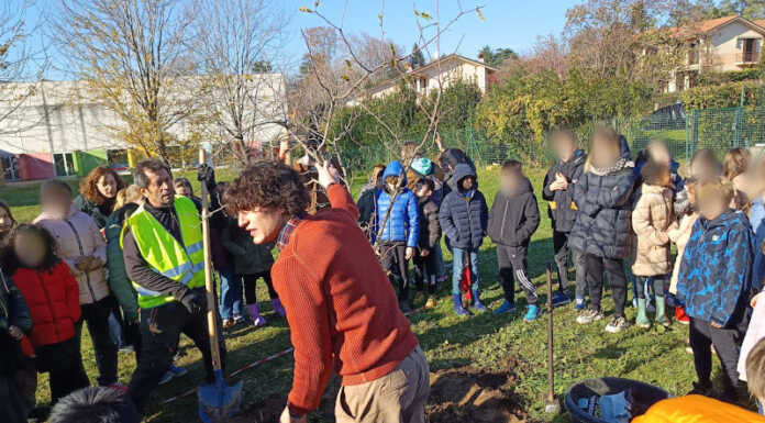 Merate: il frutteto didattico alla primaria di Montello ora è realtà