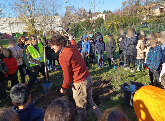 Merate_scuola_montello_frutteto_didattico2