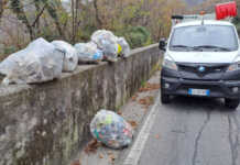 Rifiuti nei boschi accanto alla Lecco-Ballabio, intervento di pulizia di Silea