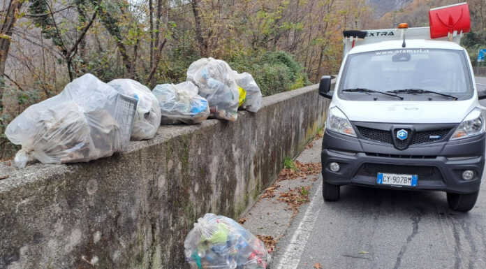 Rifiuti nei boschi accanto alla Lecco-Ballabio, intervento di pulizia di Silea