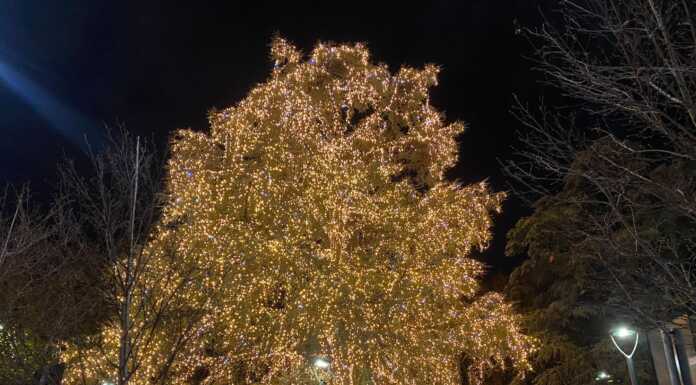In Piazza Mazzini si accende il grande albero di Natale, tra lo stupore di grandi e piccoli