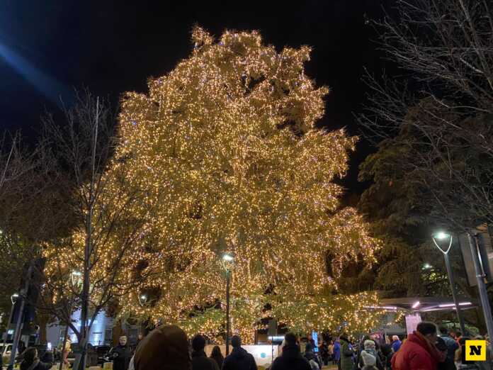 accensione albero di natale_lecco 2025_6