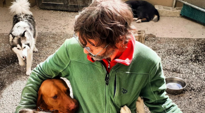 Vercurago. Incontro cinofilo per imparare a comunicare meglio col proprio cane Carlo Costa