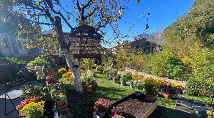 Lecco. In via Galandra fiorisce il giardino ‘senza tempo’ di Giovanni e Massimo giardino di via galandra