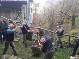Erve, Nesolio: il borgo che resiste. Torna il rito delle castagne