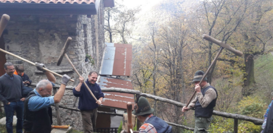 Erve, Nesolio: il borgo che resiste. Torna il rito delle castagne