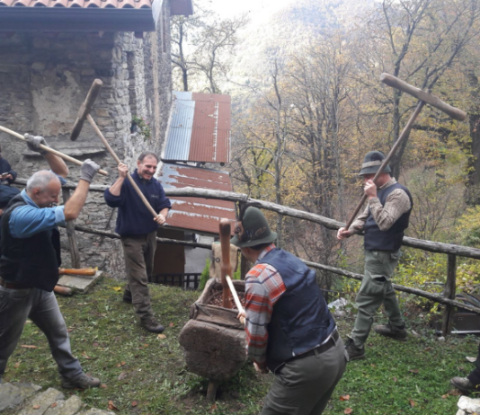 Erve, Nesolio: il borgo che resiste. Torna il rito delle castagne