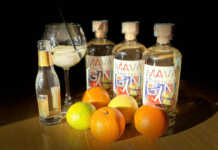 Mavà: un’idea regalo perfetta per chi ama i gin autentici mava gin