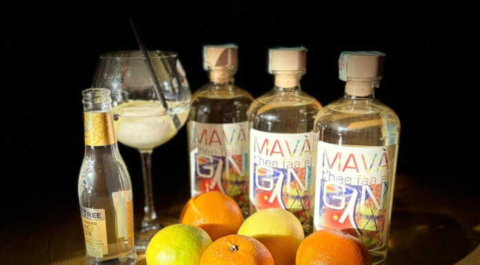 Mavà: un’idea regalo perfetta per chi ama i gin autentici mava gin