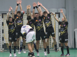 Pallamano Molteno vince agevolmente contro San Vito Marano