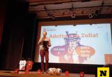 “Adotta una zolla”: Mandello si mobilita per il nuovo campo. Obiettivo raggiungere 150 mila euro entro aprile Mandello adotta una zolla rifacimento campo sportivo raccolta fondi