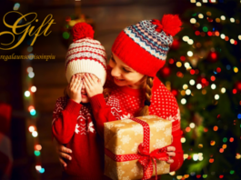 Progetto Gift di Confcommercio Lecco, la consegna dei doni procede fino al 17 dicembre