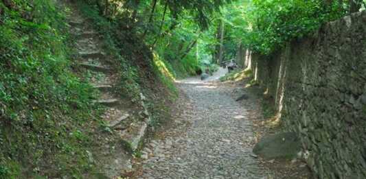 Bellezze del Lario: avvio ai lavori sui percorsi panoramici Scabium e di via per Vezio Lavori di manutenzione Varenna 3-12-25