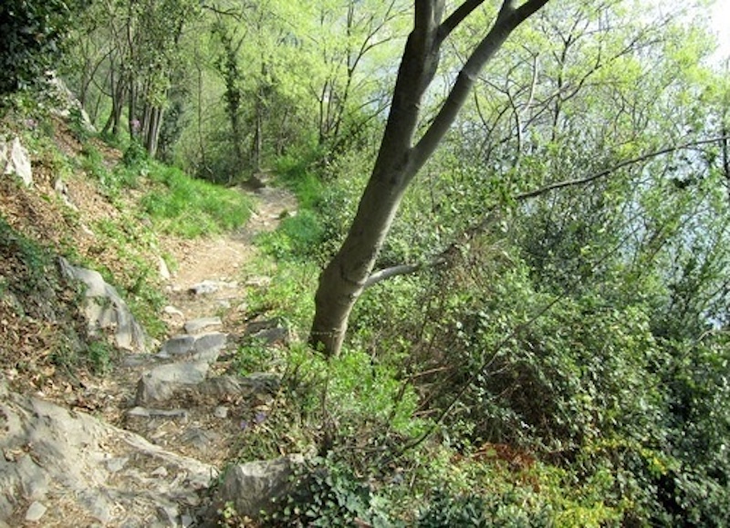 Lavori di manutenzione Varenna 3-12-25