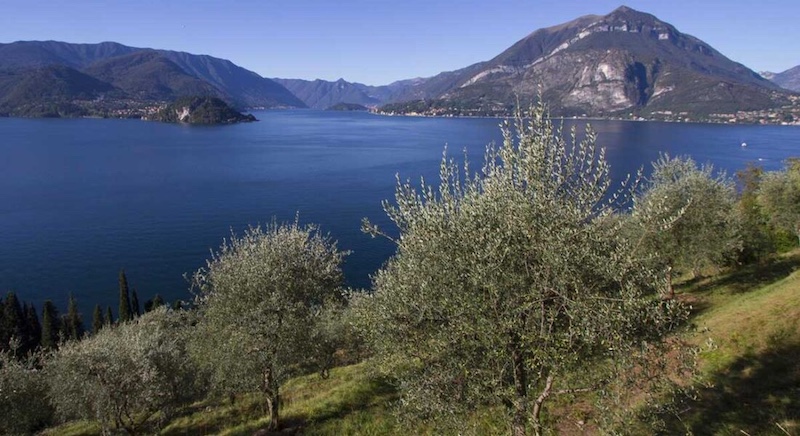 Lavori di manutenzione Varenna 3-12-25