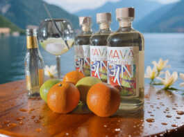 Il gin: origini, storia e fascino intramontabile Mavà gin Lago