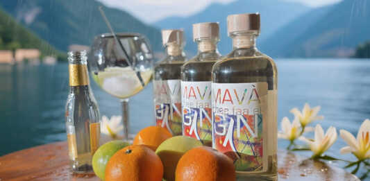 Il gin: origini, storia e fascino intramontabile Mavà gin Lago