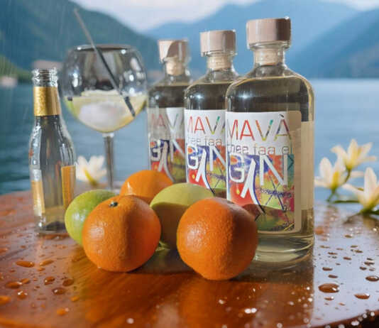 Il gin: origini, storia e fascino intramontabile Mavà gin Lago