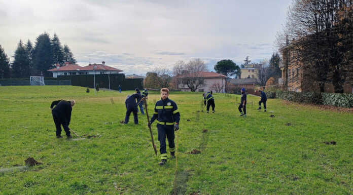 Merate, piantumati cinquanta nuovi alberi nel parco diffuso di via Allende