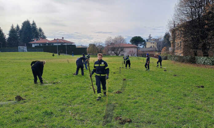 Merate_parco_Allende_piantumazione