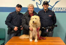 Vagava spaventato per le strade della città, due poliziotti salvano il cane Panino