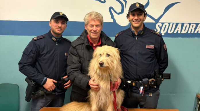 Vagava spaventato per le strade della città, due poliziotti salvano il cane Panino