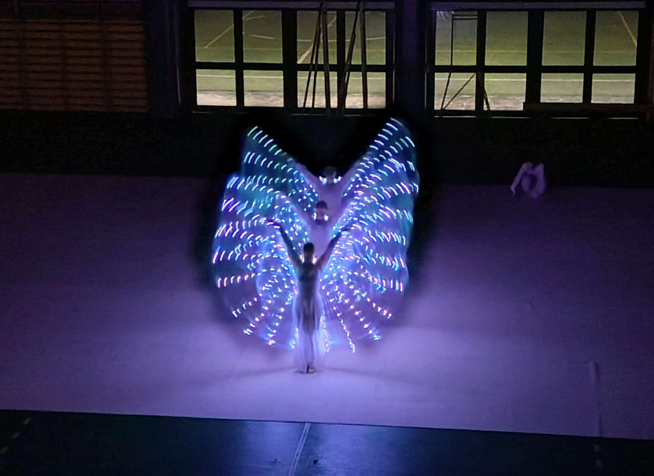 Uno dei momenti di spettacolo puro delle ginnaste della Zanetti