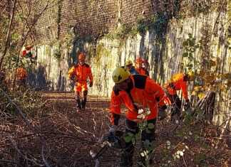 Rancio. Riprende il lavoro del gruppo Antincendio Boschivo Alpini Monte Medale
