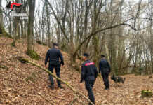 Carabinieri a cavallo contro lo spaccio, passati al setaccio i boschi di Nibionno