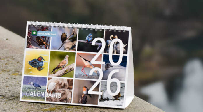 Parco Adda Nord: in arrivo due calendari dedicati all’avifauna locale