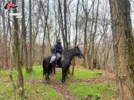Carabinieri a cavallo contro lo spaccio, passati al setaccio i boschi di Nibionno