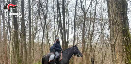 Carabinieri a cavallo contro lo spaccio, passati al setaccio i boschi di Nibionno