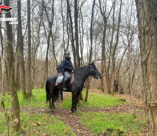 Carabinieri a cavallo contro lo spaccio, passati al setaccio i boschi di Nibionno