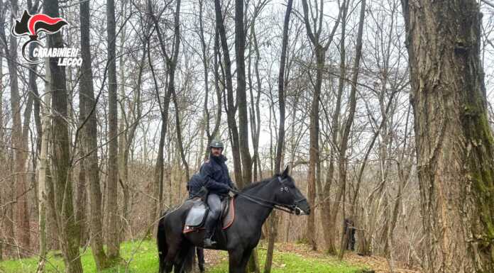 Carabinieri a cavallo contro lo spaccio, passati al setaccio i boschi di Nibionno