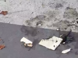 Germanedo: vandalismi al playground, incendiati i libri del book crossing germanedo-vandalismi-libri book crossing