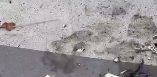 Germanedo: vandalismi al playground, incendiati i libri del book crossing germanedo-vandalismi-libri book crossing